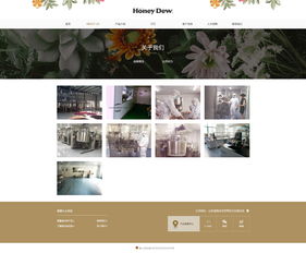网站设计与网页设计 数字时代的美学与技术交响